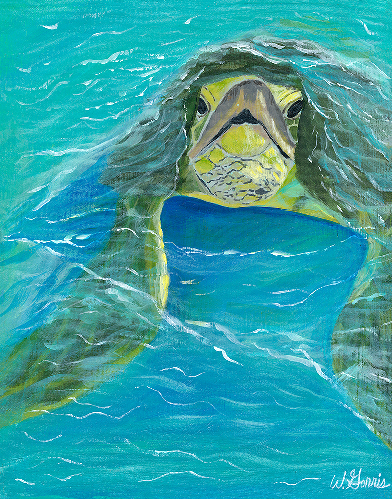 Friendly Swimmer 20in x 16in