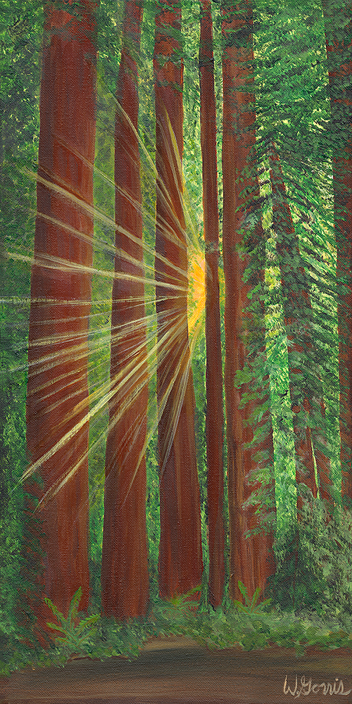 Roots 20in x 10in-Giclée Acrylic Print on Canvas