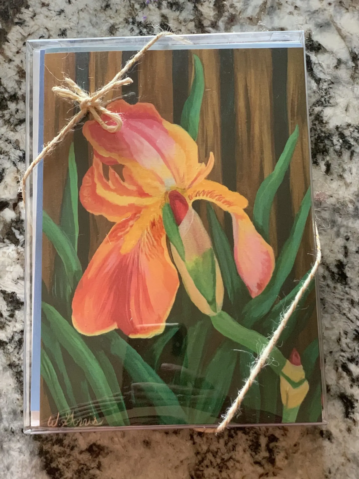 Greeting Cards- Gift Box of 6 with envelopes