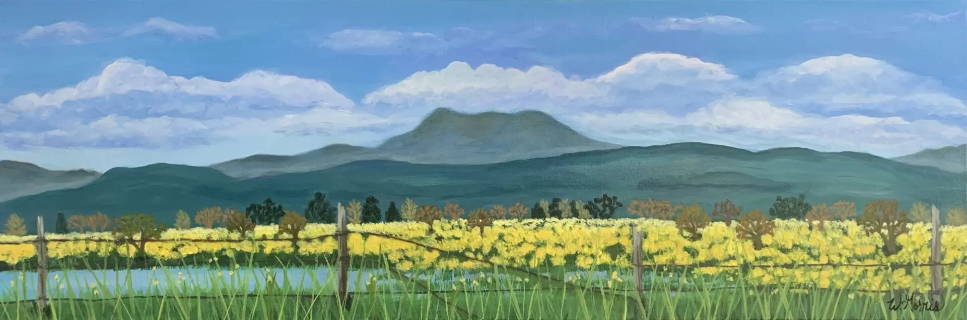 Sonoma County Spring 12in x 36in- Original!