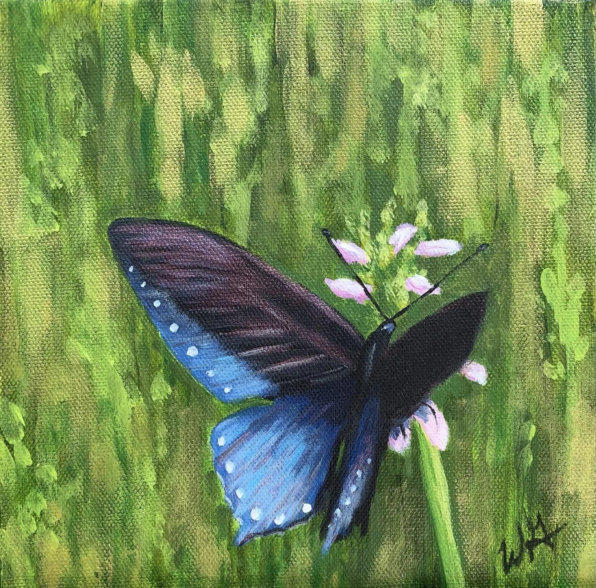 Splendor in the Grass, 8in x 8in-Original!
