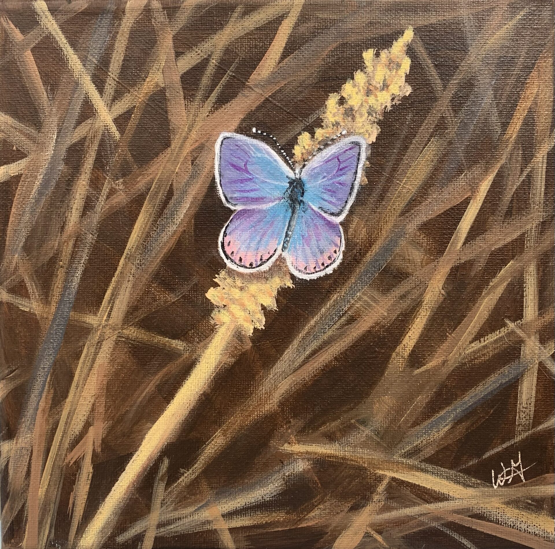 Unexpected Surprise , 8in x 8in Original