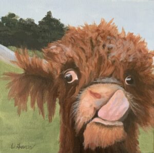 Curly Cow 12in x 12in, Original!
