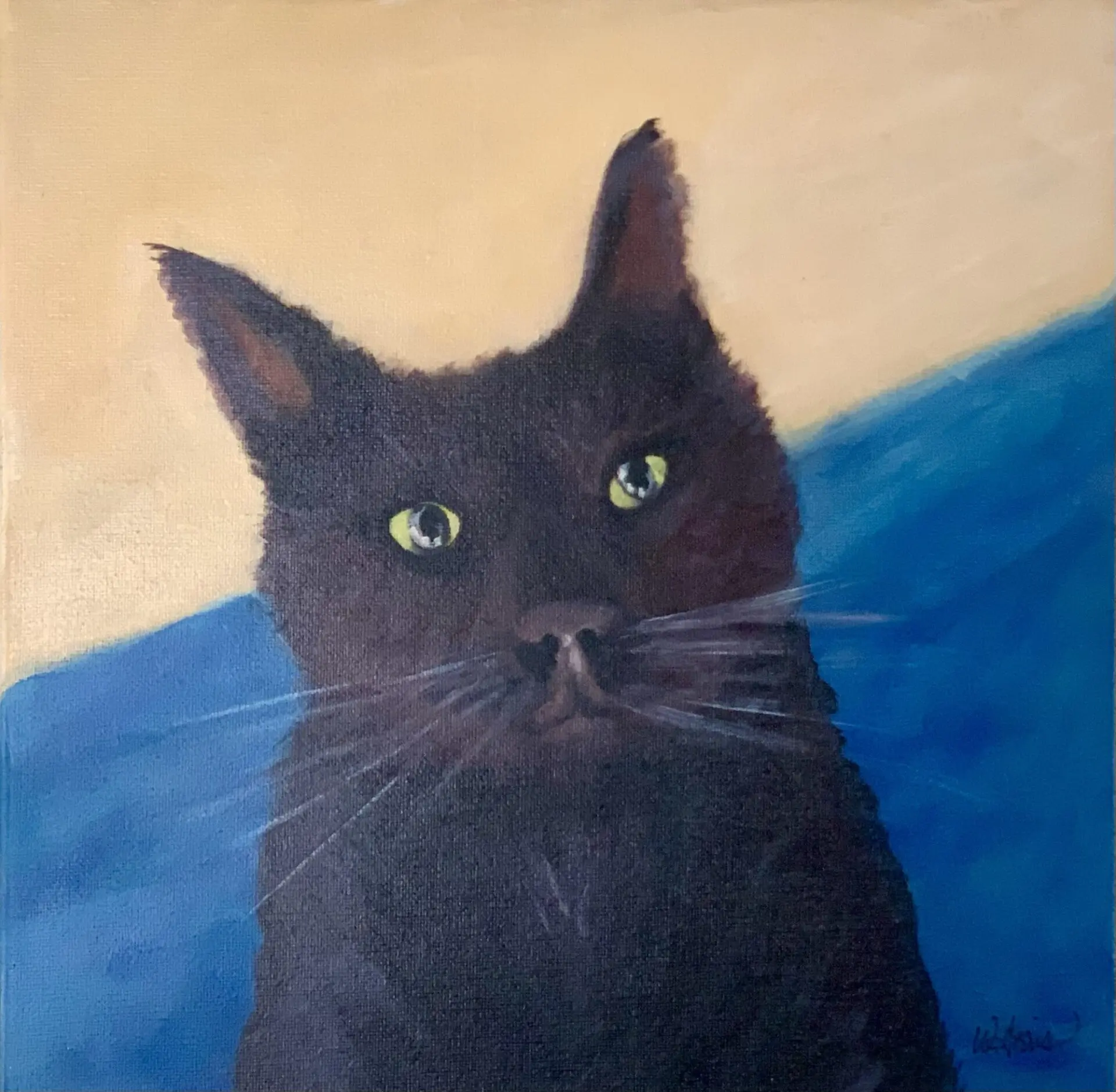 Curious Cat, 10in x 10in, Original