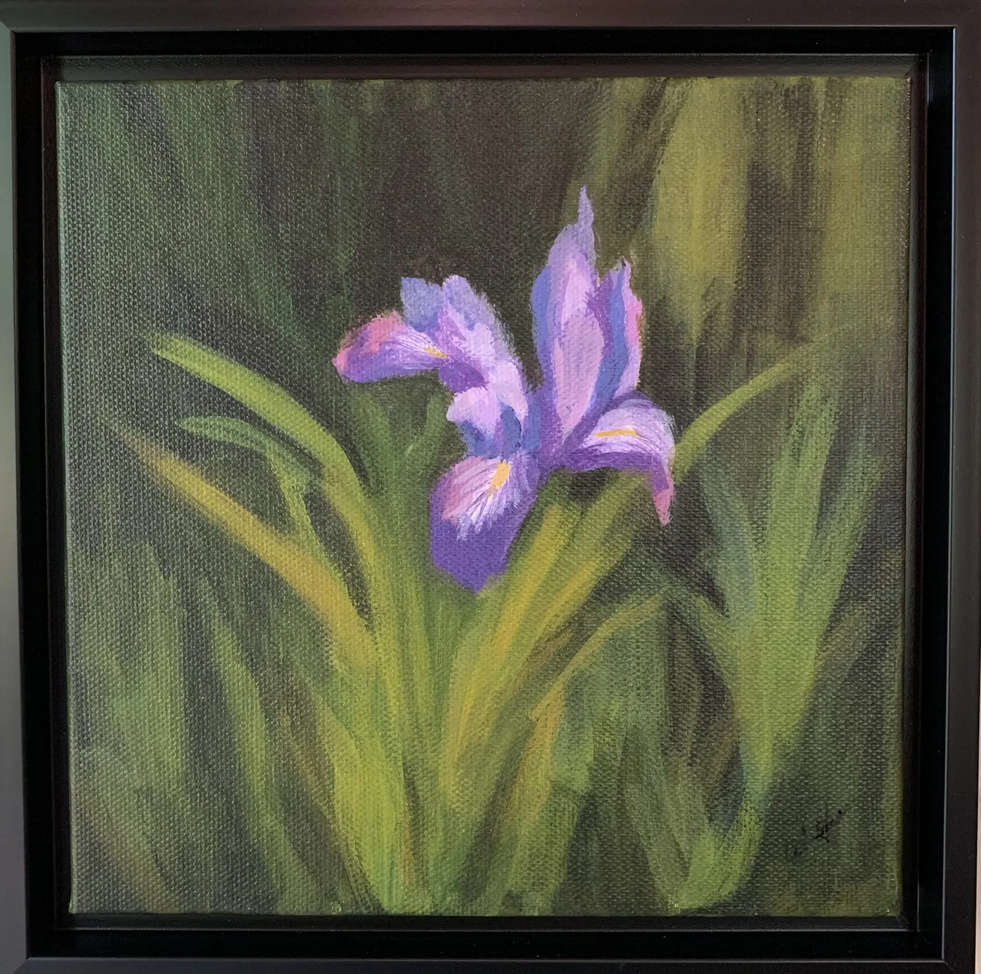 Coastal Iris 8in x 8in-Giclèe on Canvas in Frame