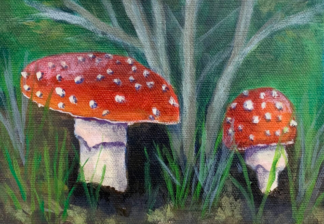 Mushrooms
