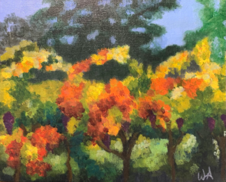 Vineyards in Fall