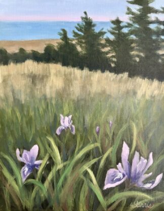 Coastal Irises 14in x 11in-Original!