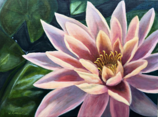 Water Lily at Sunset 18in x 36in-Original!